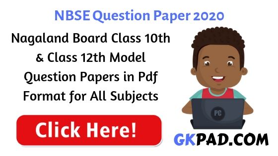 Nagaland Board Question Paper