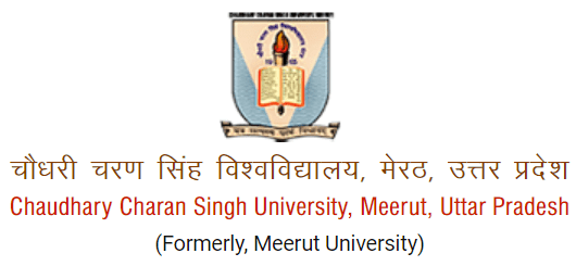 Meerut University