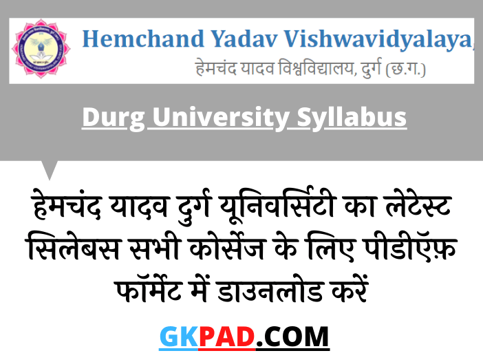 Hemchand Yadav Durg University Syllabus 2022 in Hindi PDF