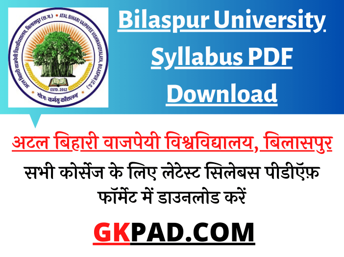 Bilaspur University Syllabus