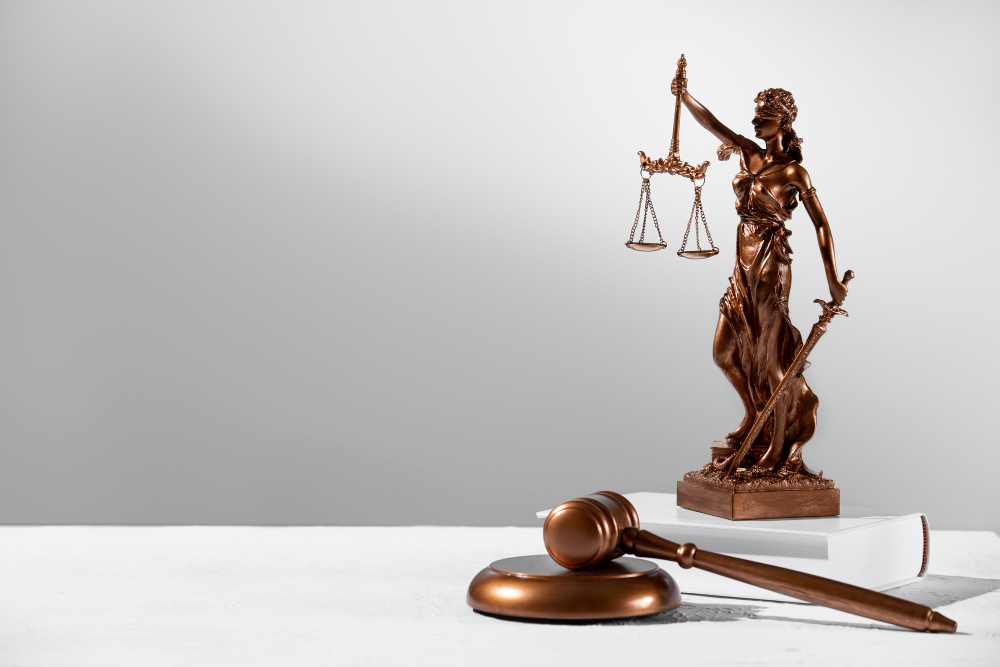 Unit V: Criminal Legal System (आपराधिक विधि प्रणाली)